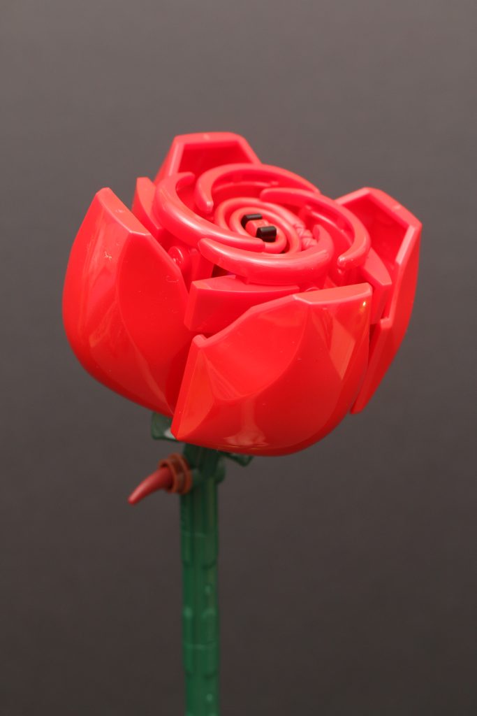 LEGO Botanical Collection 10328 Bouquet of Roses review 22 683x1024