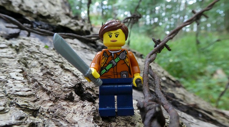 Brick Pic of the Day: Prepared
