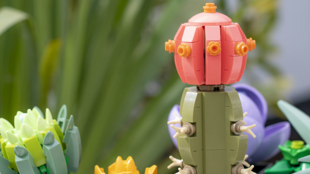 LEGO The Botanical Collection 10309 Succulents 1 1024x576