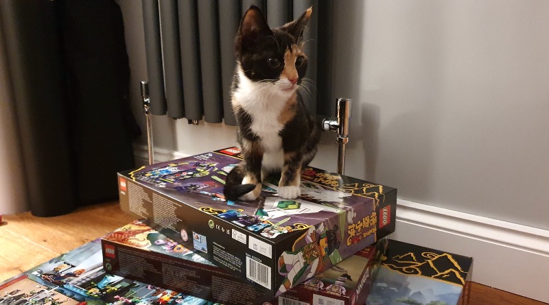 Kittens and LEGO do not mix