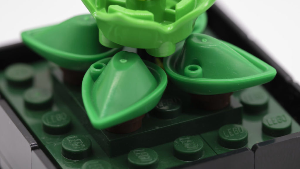LEGO The Botanical Collection 10309 Succulents 41 1024x576