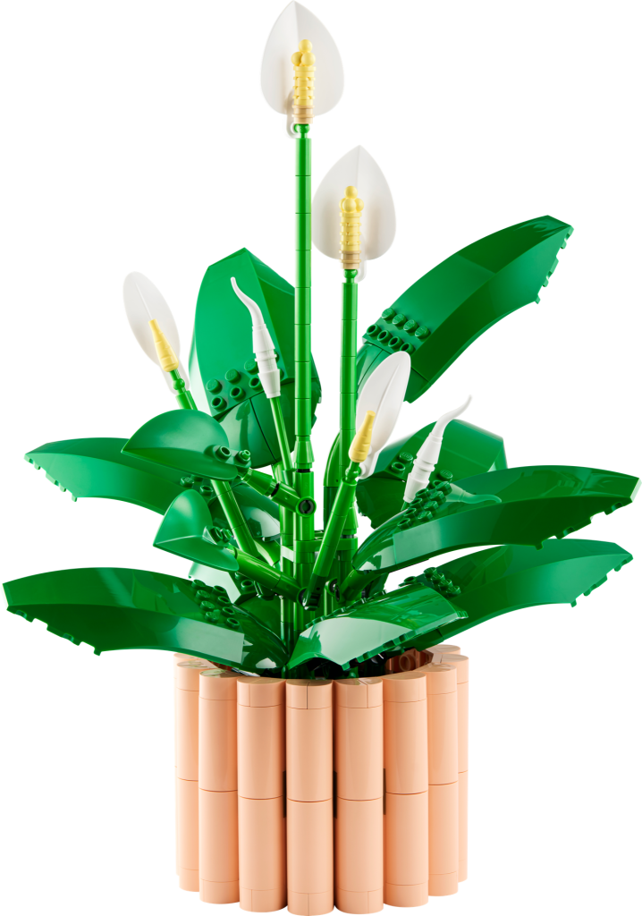 LEGO Botanicals 11504 Peace Lily 18 718x1024