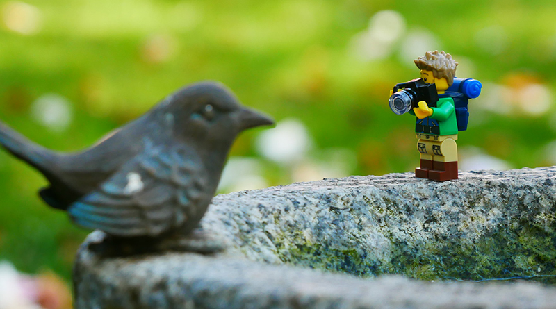 Brick Pic of the Day: Smile, birdie