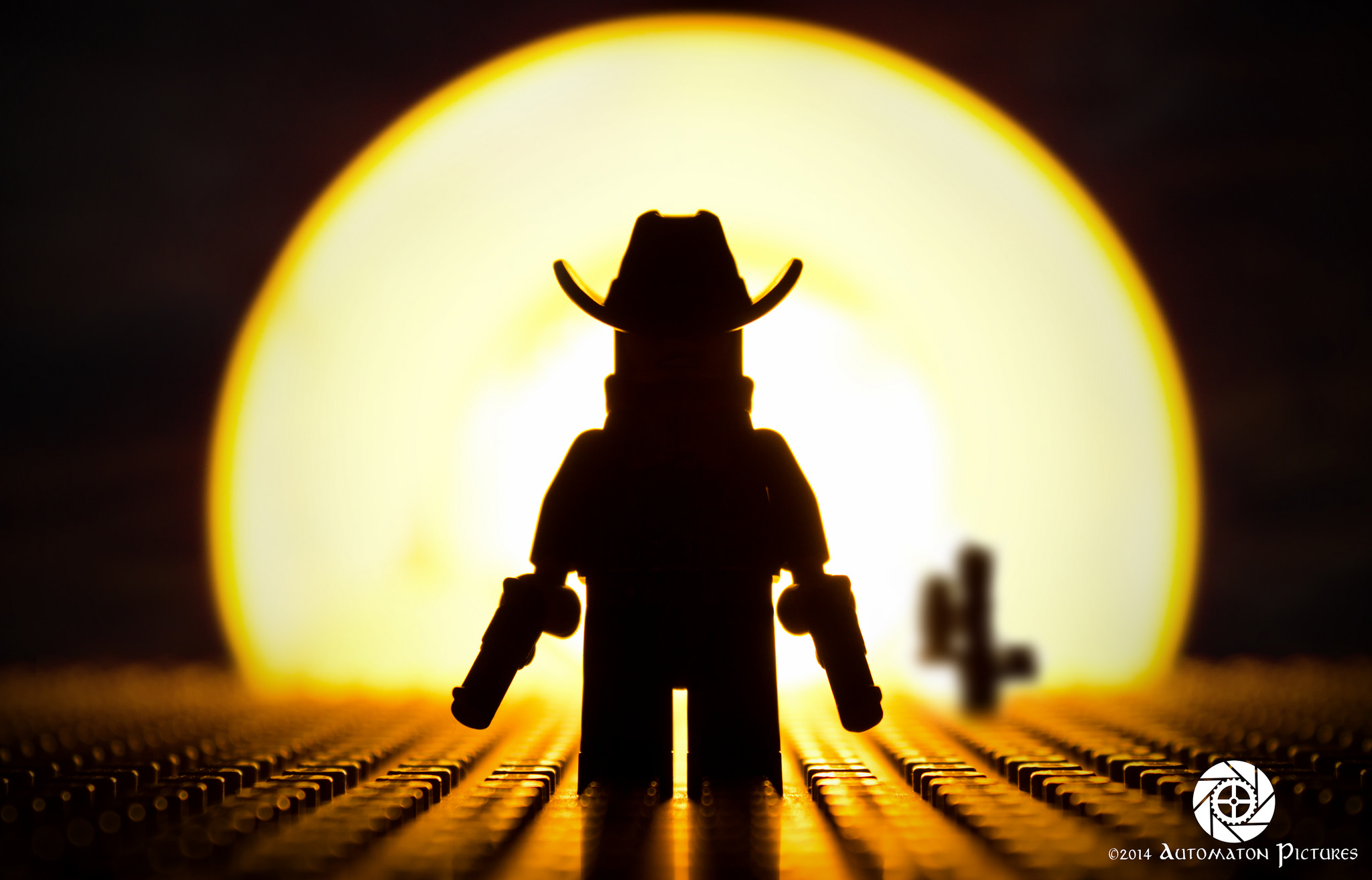 Brick Pic of the Day: 04 November 16