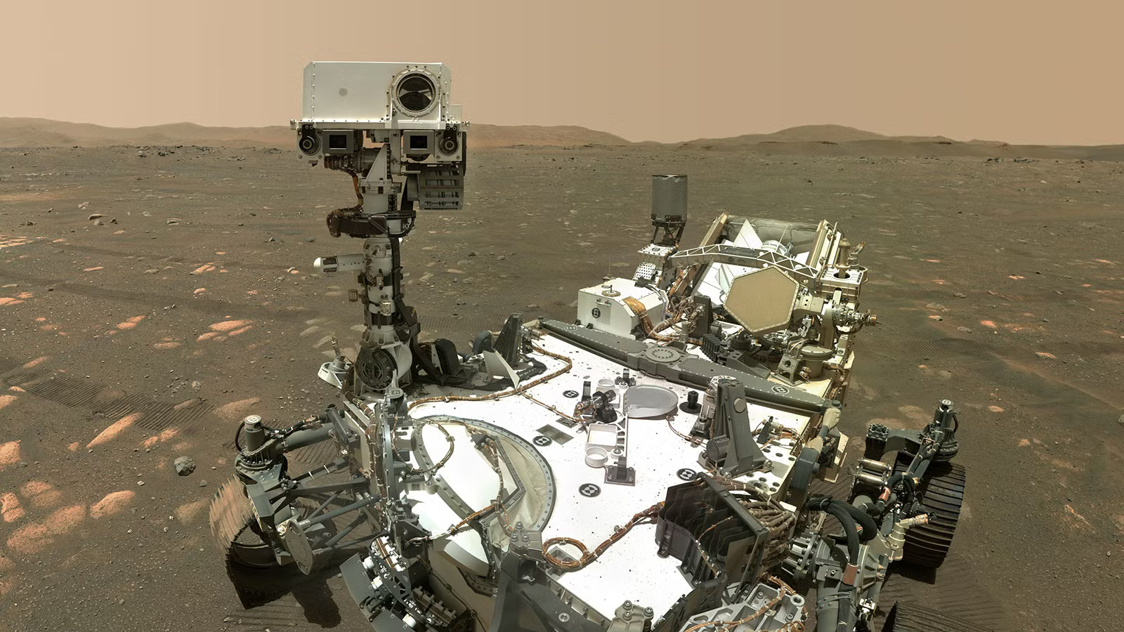 cam